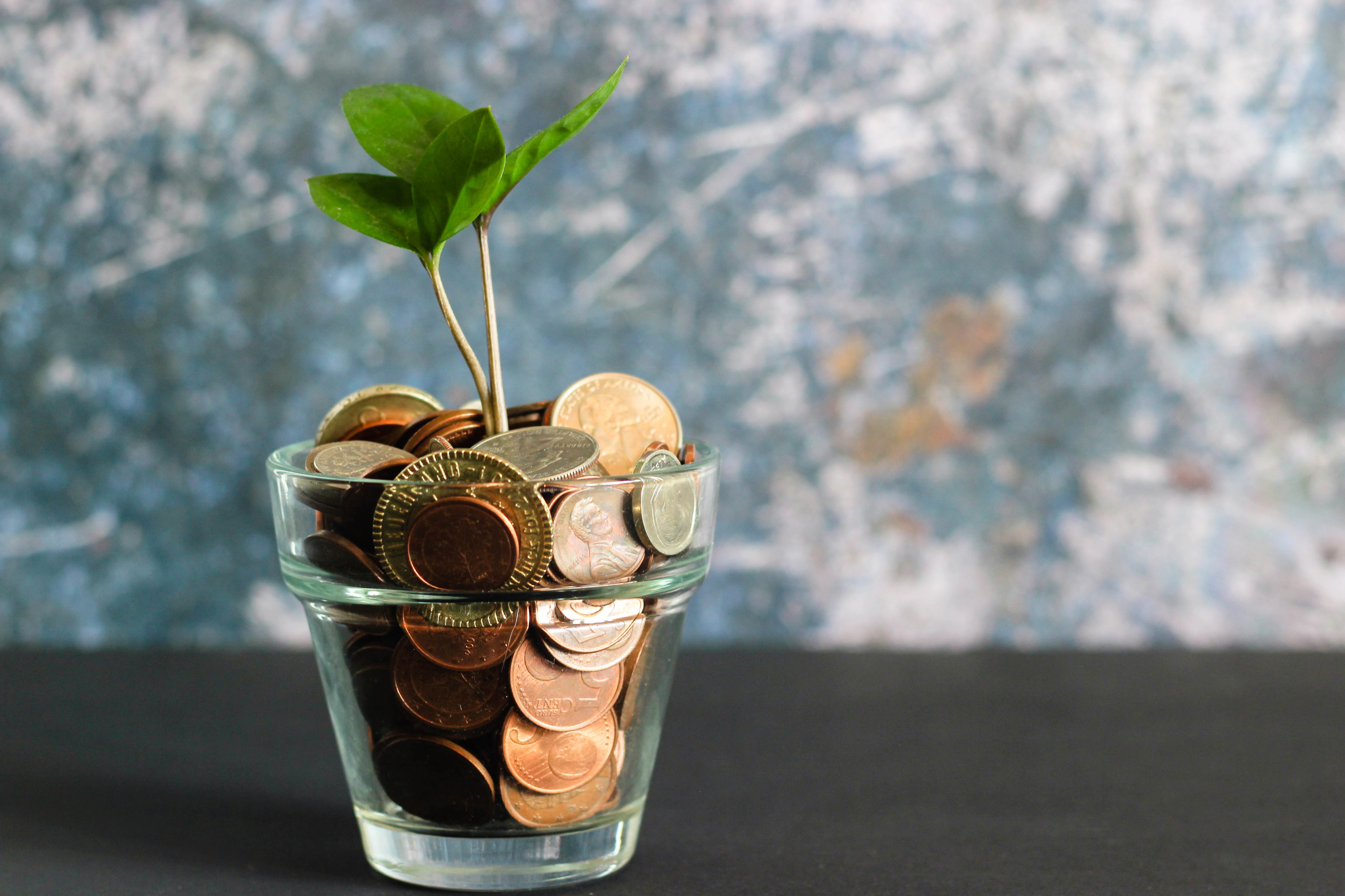 Picture of coin in a cup with a tree growing out it